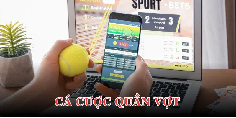 Cá cược quần vợt cập nhật số lượng sự kiện lớn trên thế giới